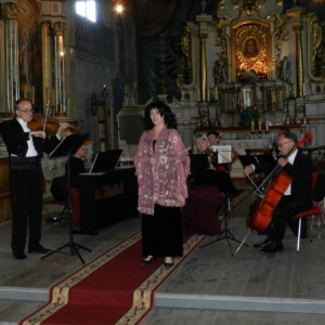 Letni Koncert Kameralny Orkiestra Salonowa
